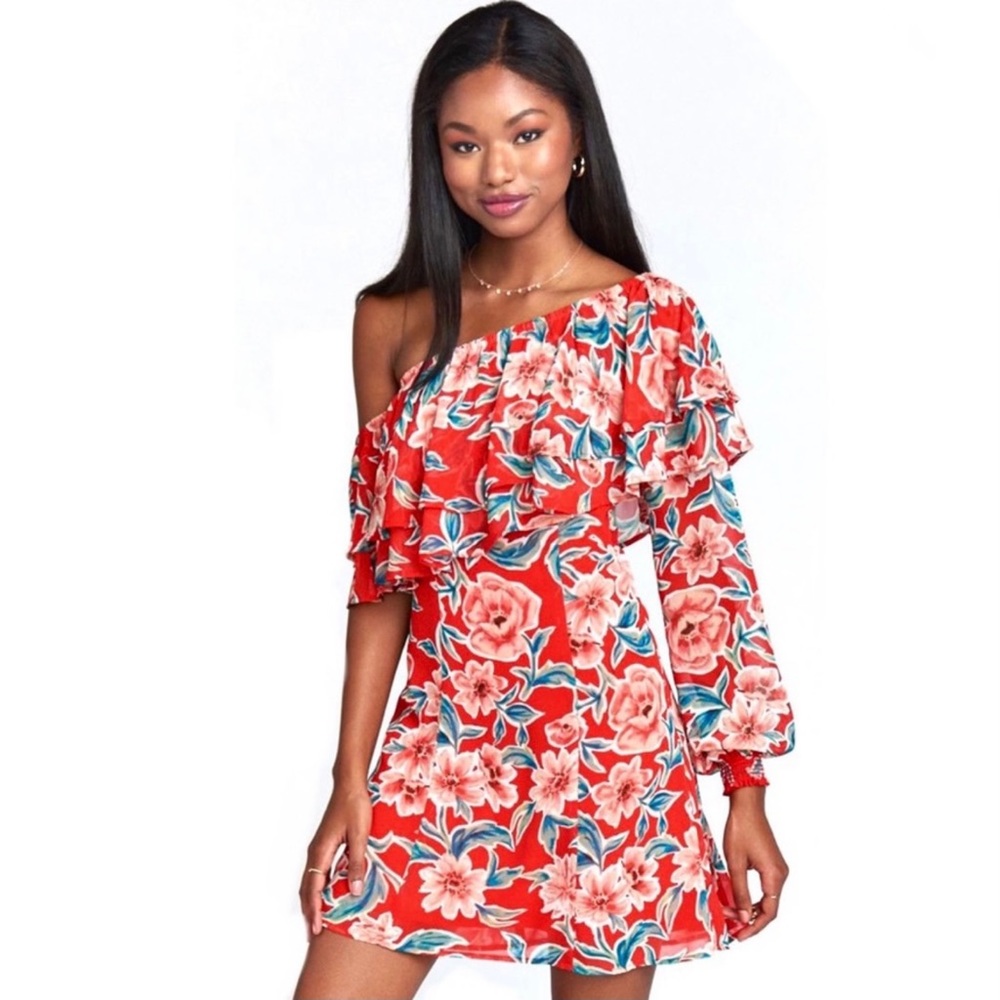 Show Me Your MuMu Red Floral Dress